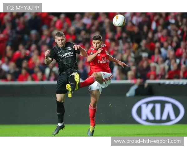 本菲卡准备举办国际青年邀请赛，吸引全球目光的足球盛宴